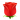 Розы