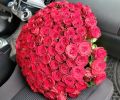 101  Красная роза 50см