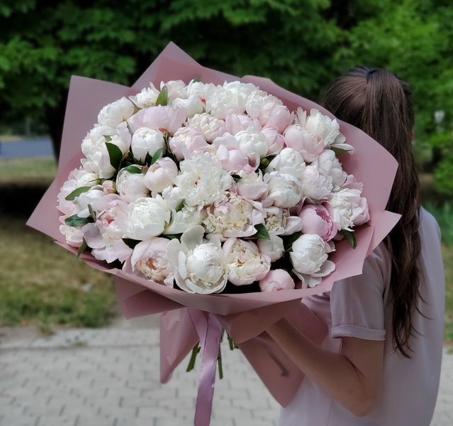 Букет из 51 пиона