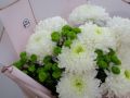 Хризантемы