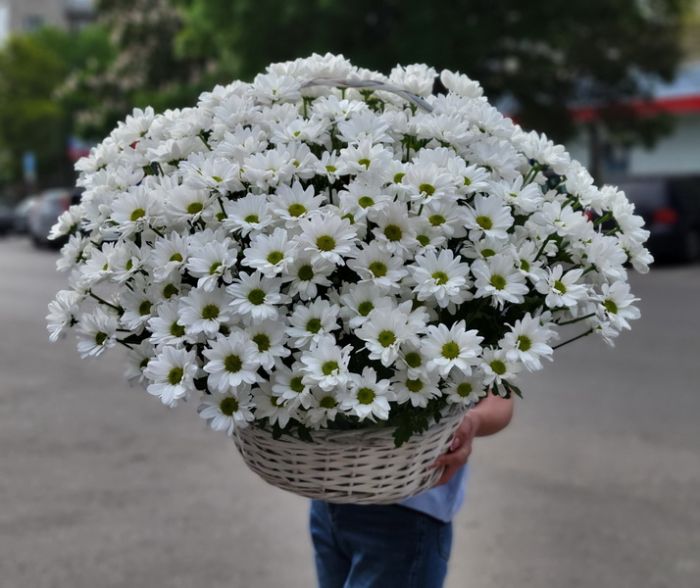 Большая корзина с ромашками