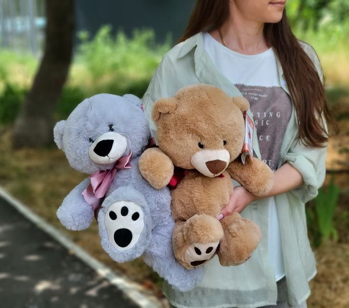 Медведь Мика 37 см