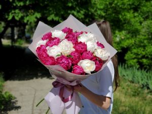 Букет из 25 разноцветных пионов