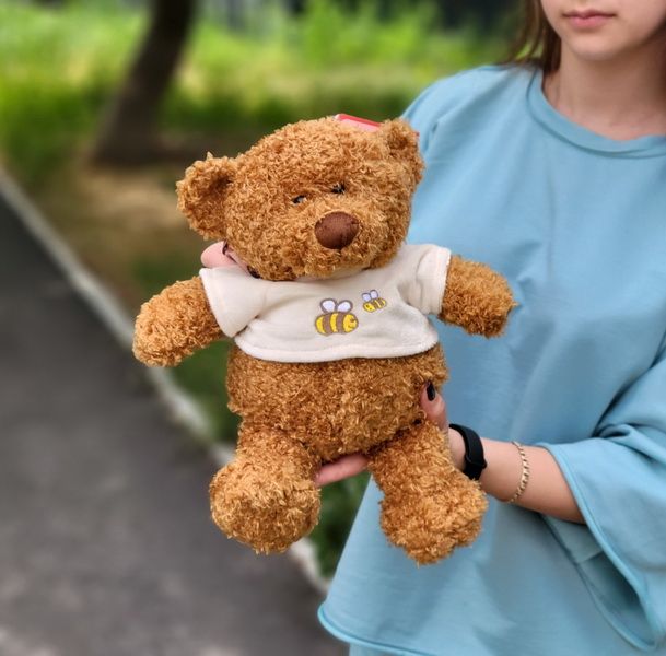 Медведь Миша 35 см