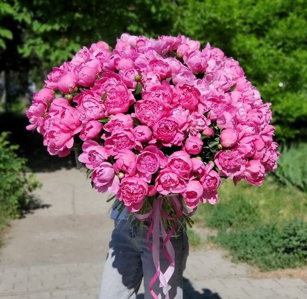 101 розовый пион