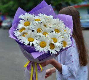 Ромашки 25  шт