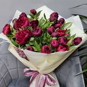 Букет из 25 бордовых пионов