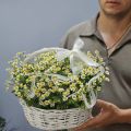 Корзинка с ромашками «Полевая нежность»