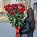 Букет из 25 красных метровых роз под ленту