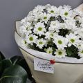 Букет с ромашками и медвежонок