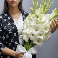 Белые гладиолусы 15 шт