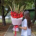 Букет 15 красных гладиолусов